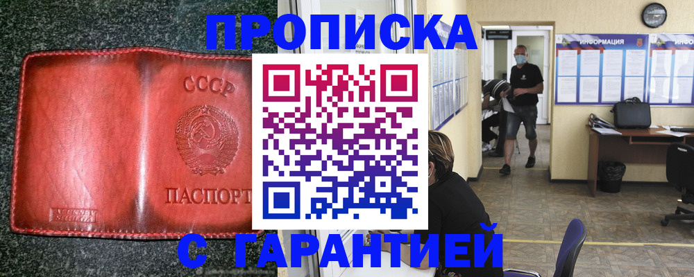 прописка гарантия в Дмитрове
